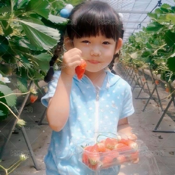 茶專區