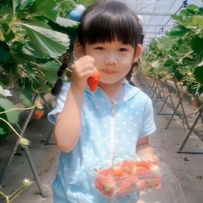 茶專區