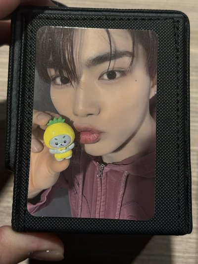 ZEROBASEONE zeroni HOME PARTY  S娃 寶寶娃 章昊+水果公仔 彬昊