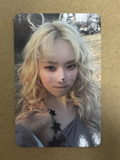 aespa Winter 冬天 正規一 專輯卡 ZINE版冬 貓咪冬 冬-28