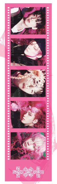 迷八 快閃 膠片 其他 (歡迎客服許願) 