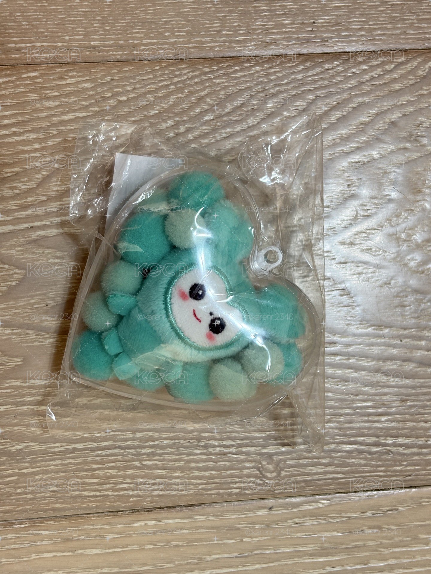TWICE 新國立 DIY MIVELY
