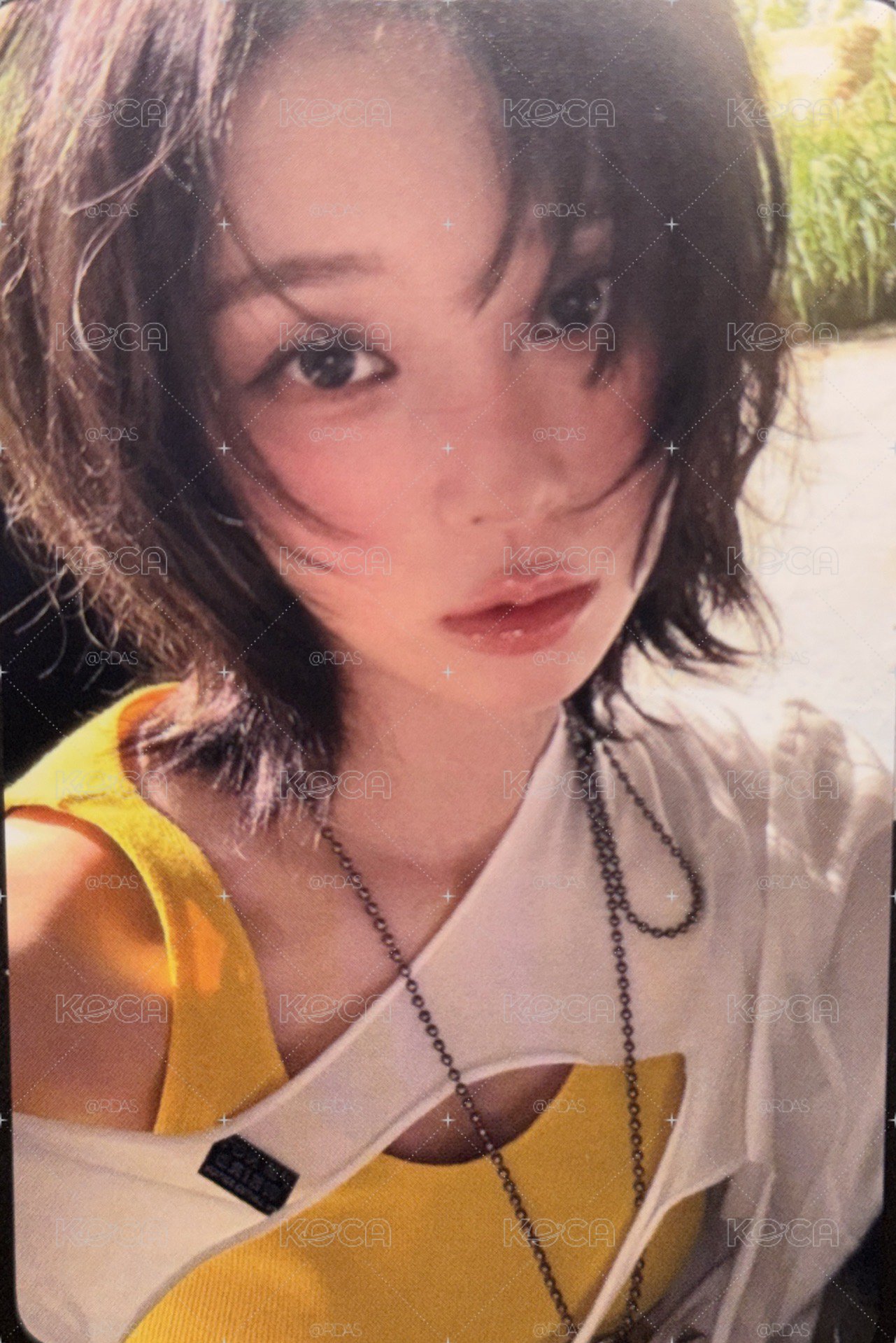 有錢人中文卡背冬