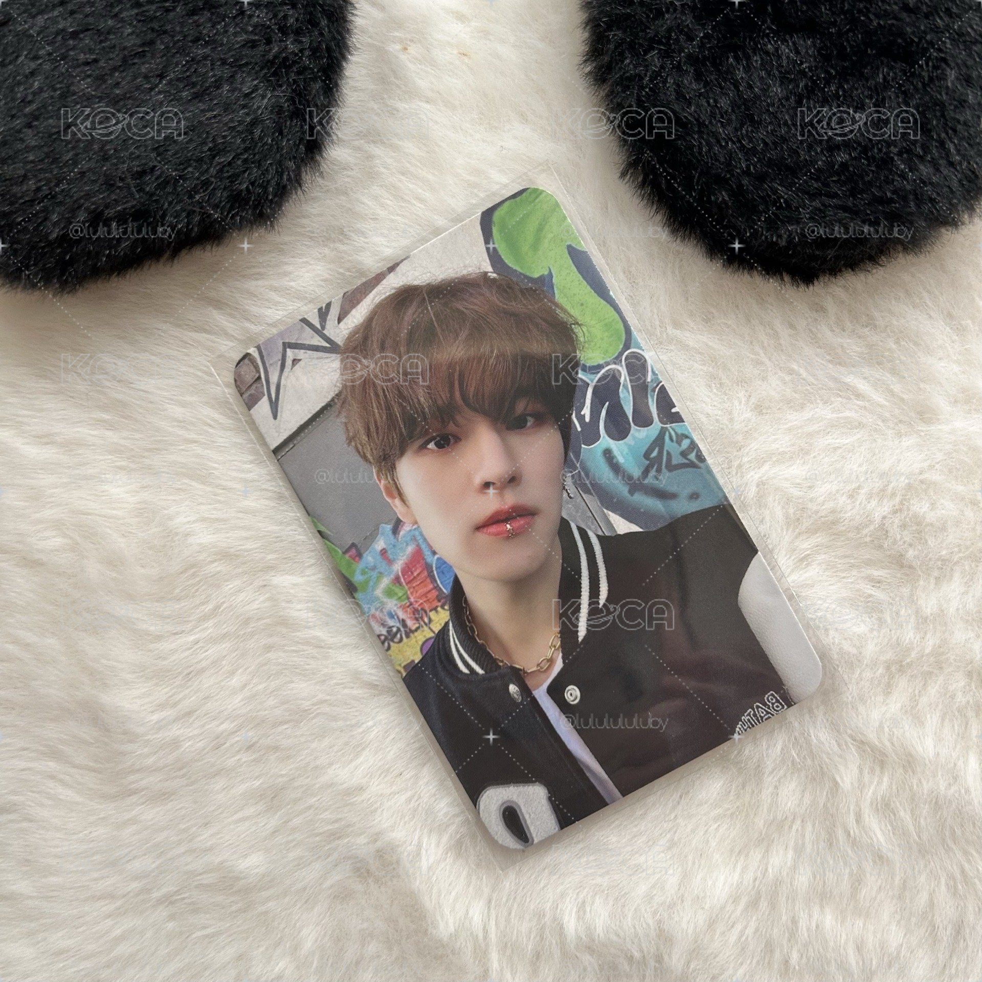 唇環小狗