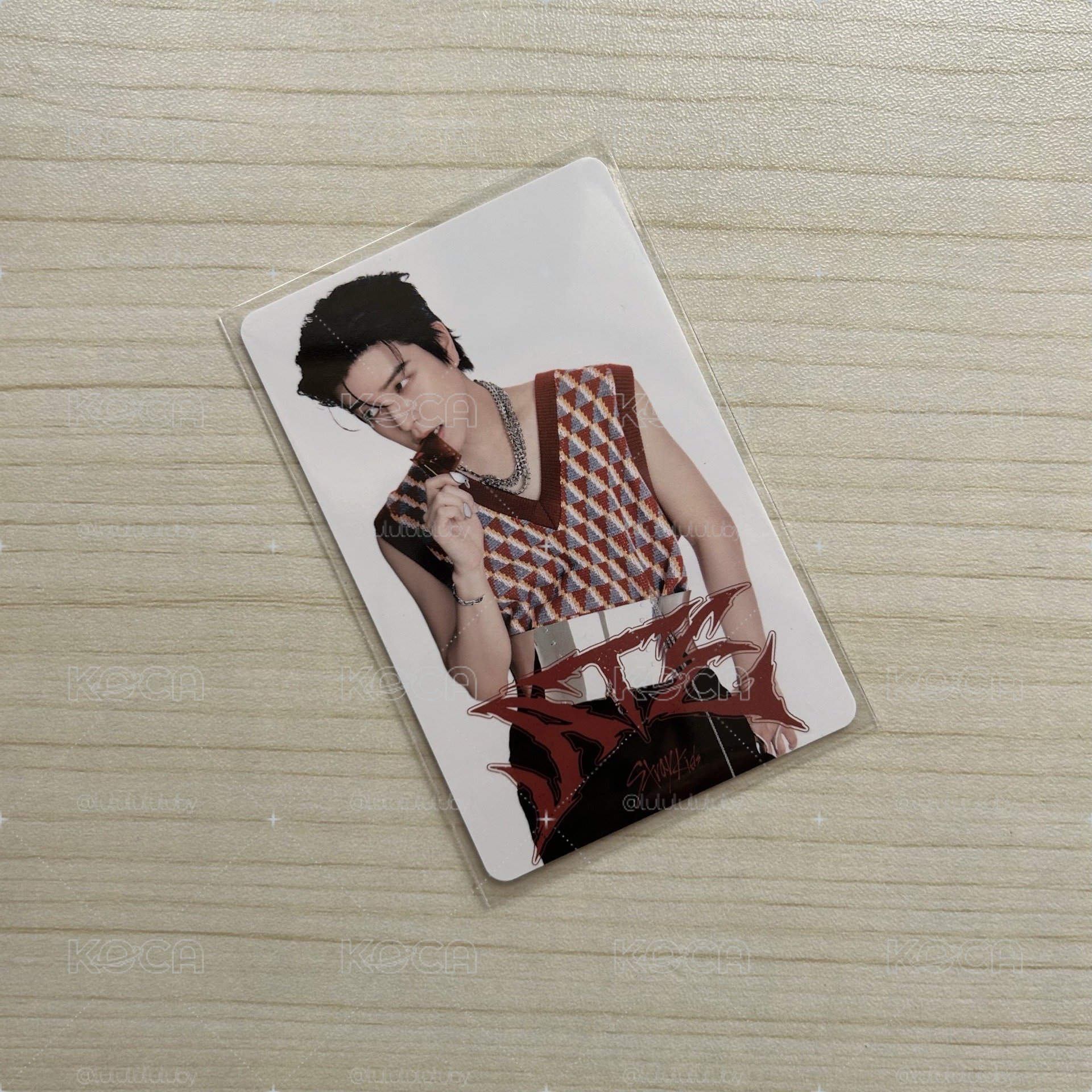 咬東西的小狗