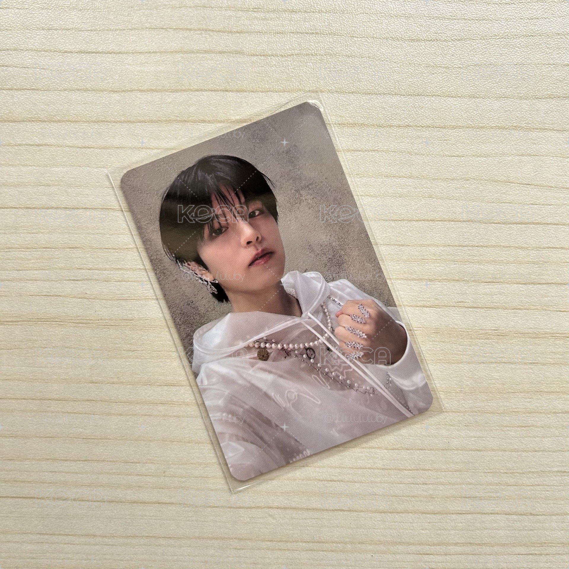 白衣握拳小狗