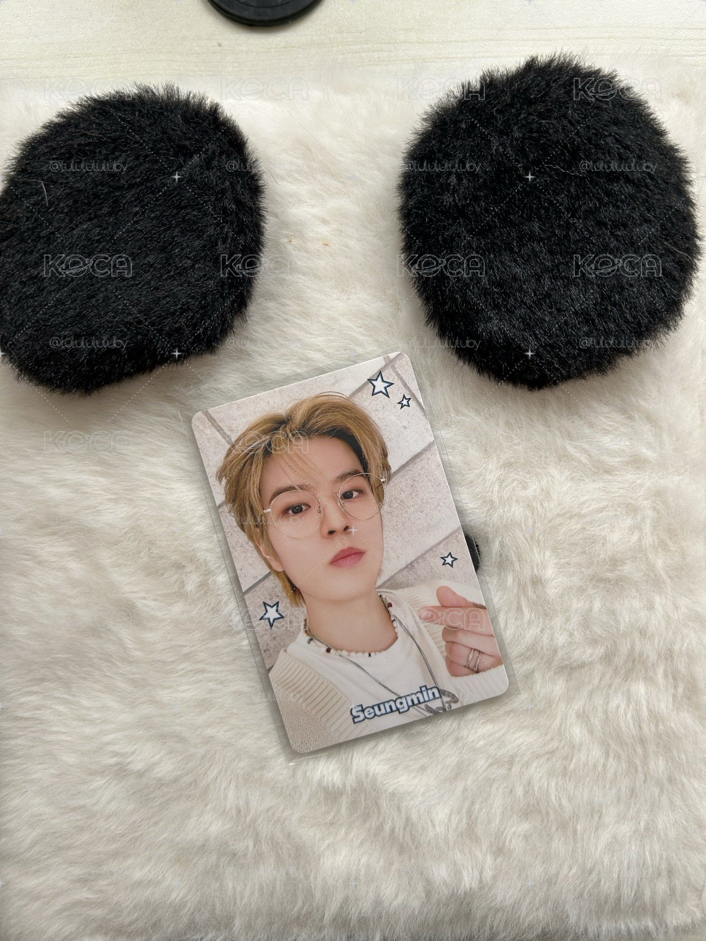 眼鏡小狗