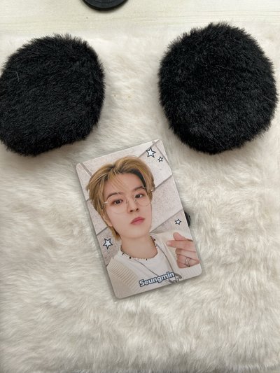 眼鏡小狗