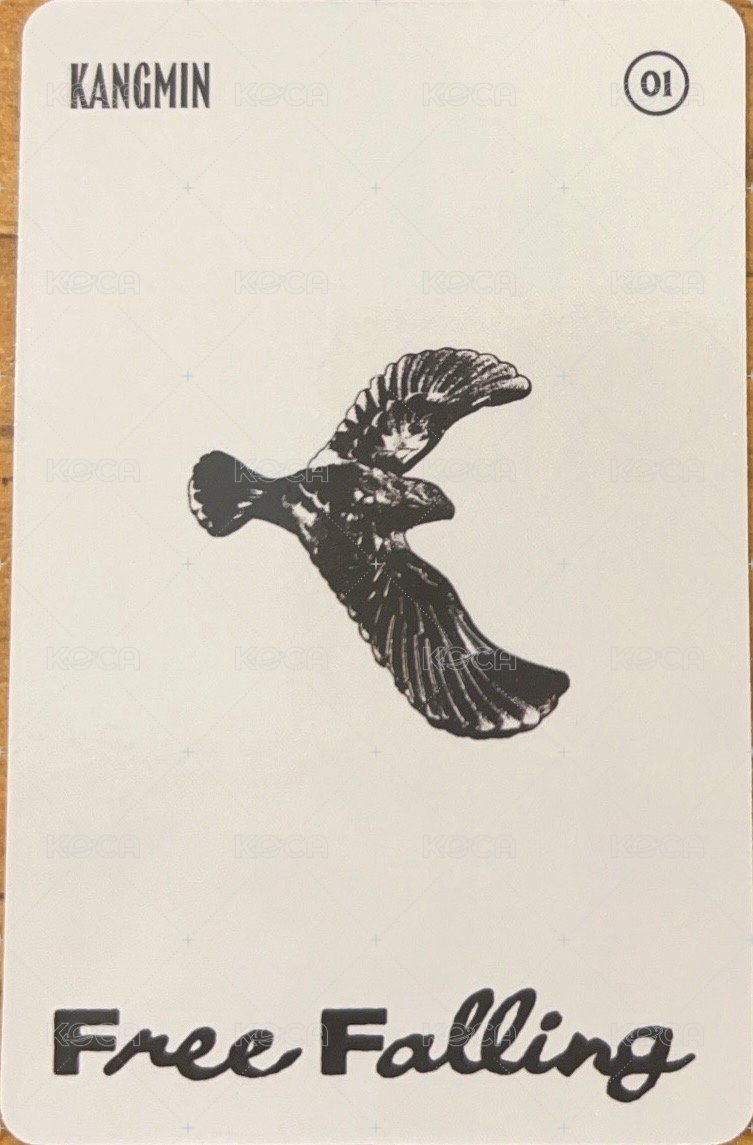 Free Falling Photobook 專輯卡  背面