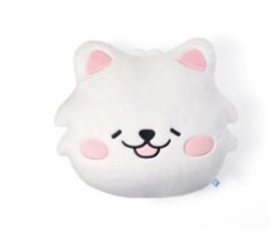 LESSERAFIM 茲哈龍抱枕+原皮