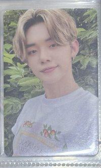 不管了鋼球剛