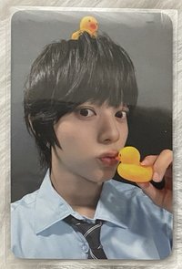 鴨子 志恩(需捆100)