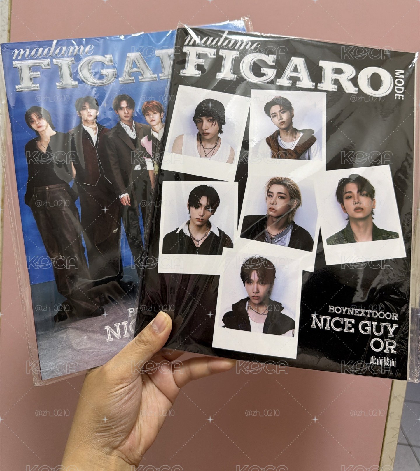 費加羅A B版雜誌