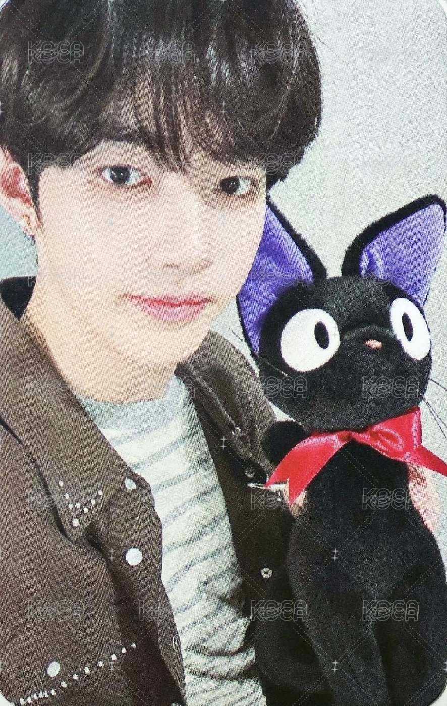 昊