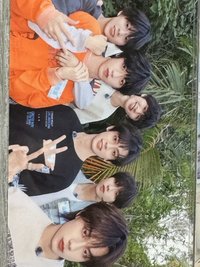 新音榮耀 隨機卡 一代