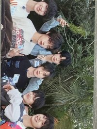 新音榮耀 隨機卡 lost