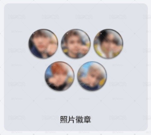 wvs特典徽章（純徽章！）
