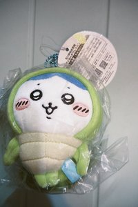 海龜八