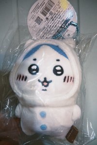 白熊八