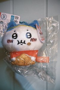 地區限定娃