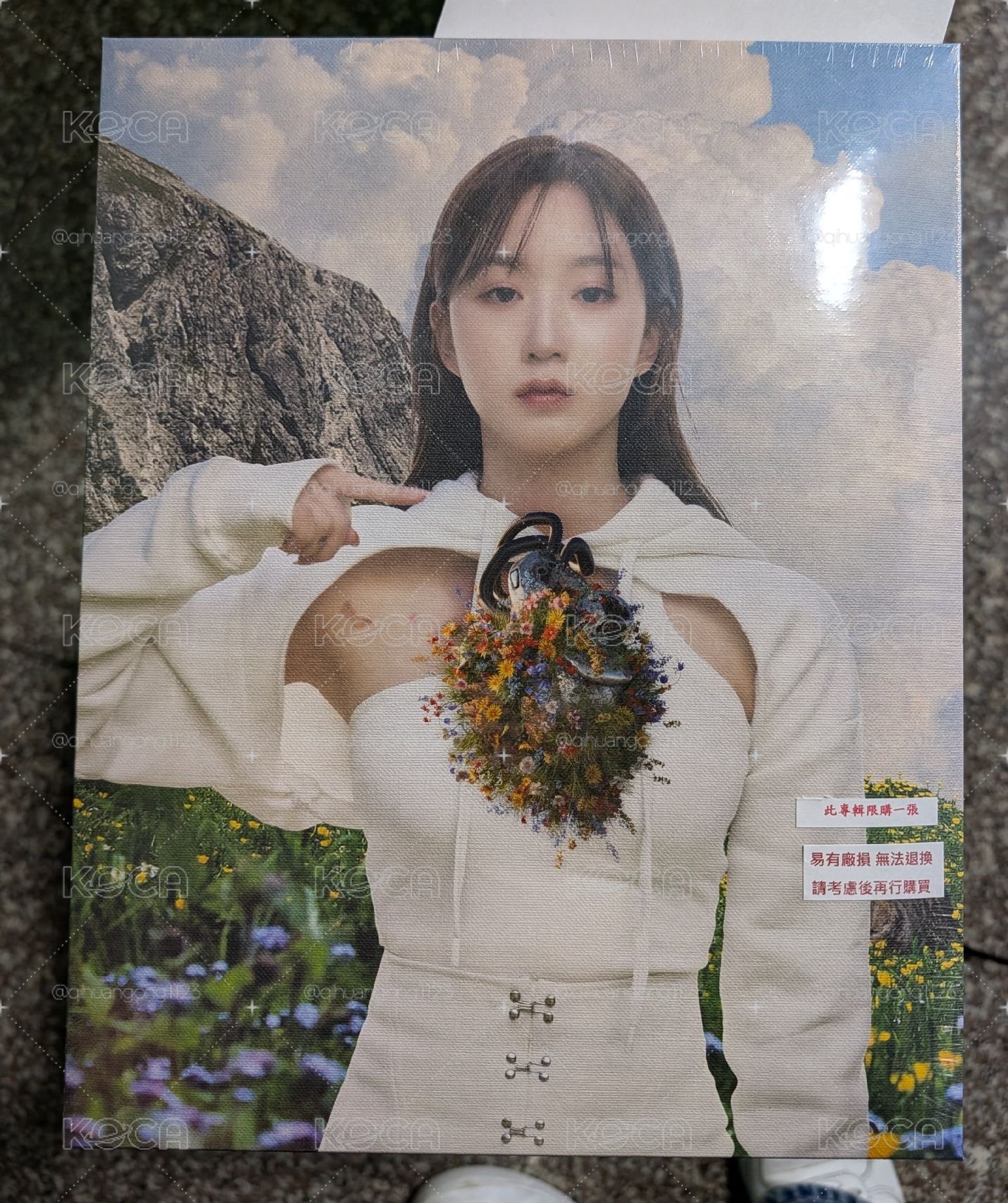 全新未拆海嫄油畫專（如圖目測無損）