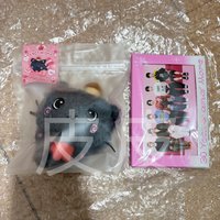 RIKU原皮+綁RIIZE明信片組