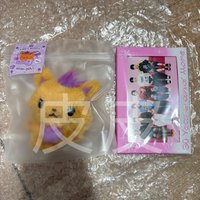 SION原皮+綁RIIZE明信片組