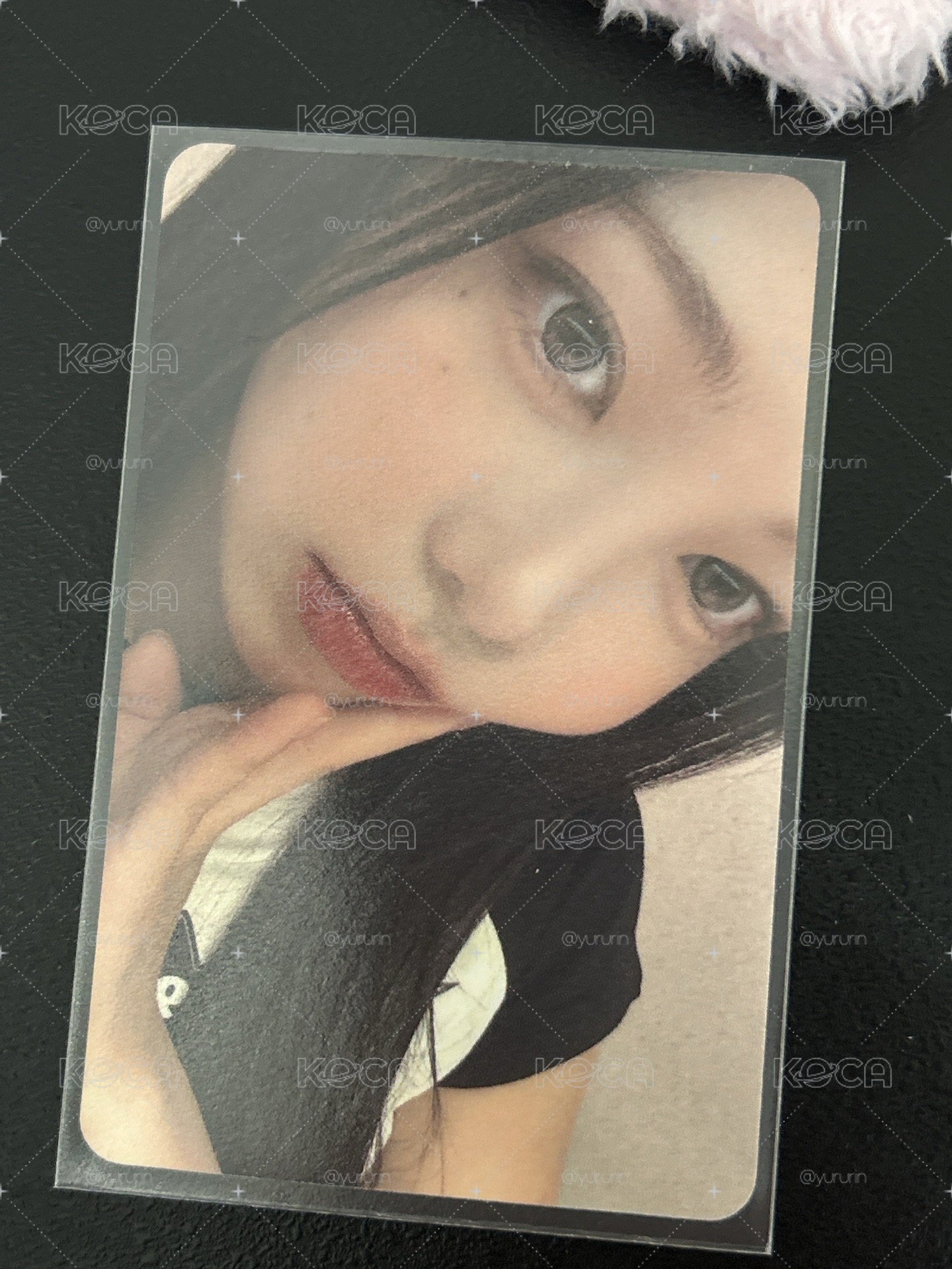 sr 1.0中文卡背 ian