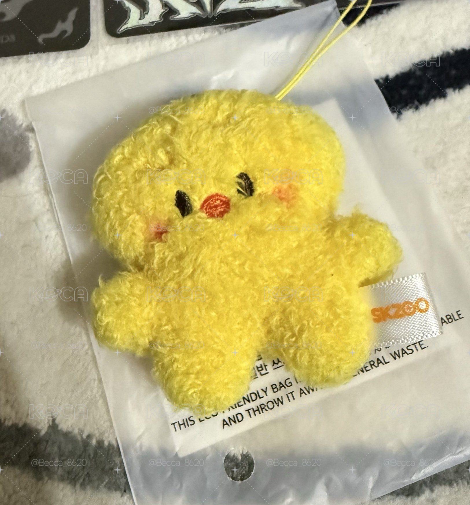 菲菲🐤 小盤 