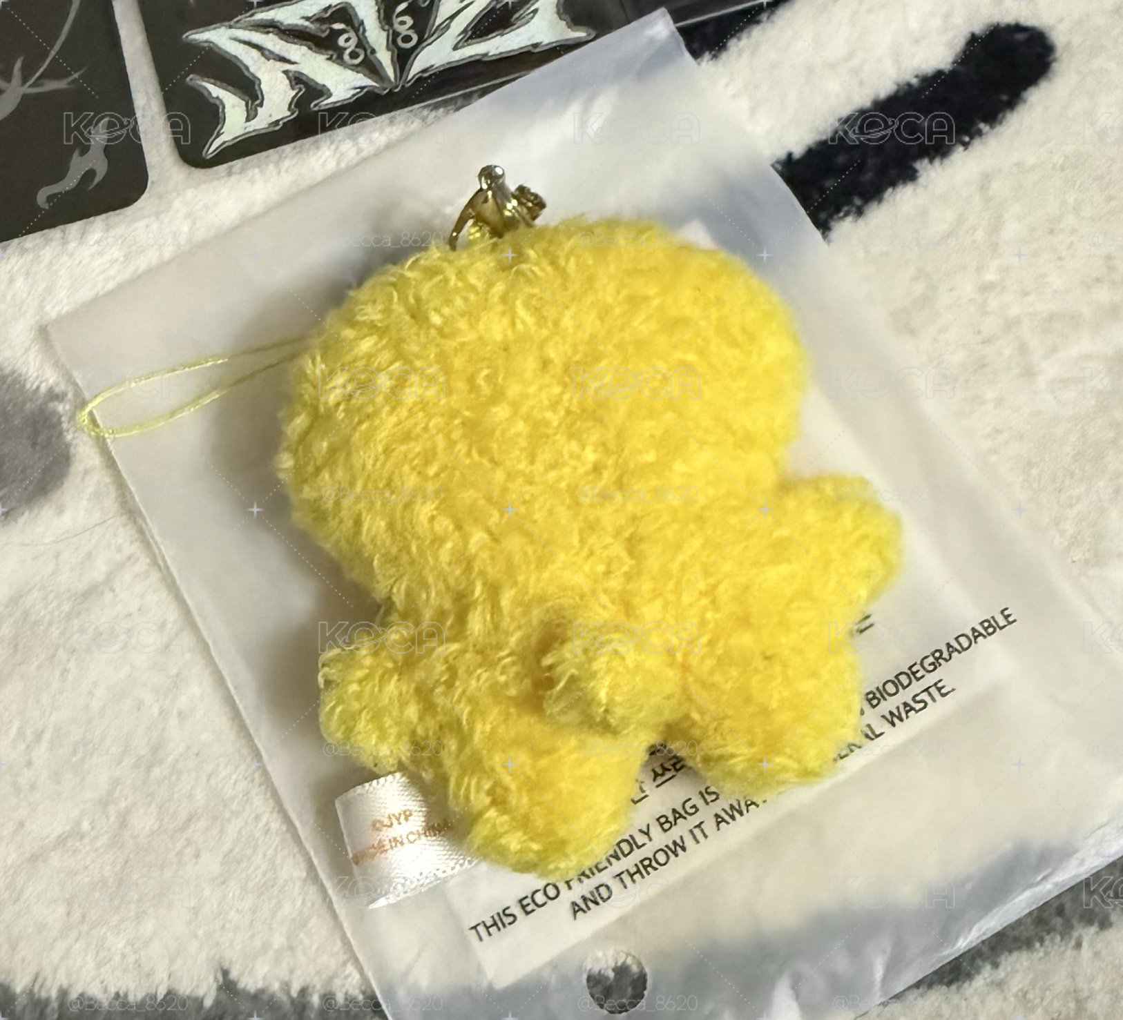 菲菲🐤 小盤 