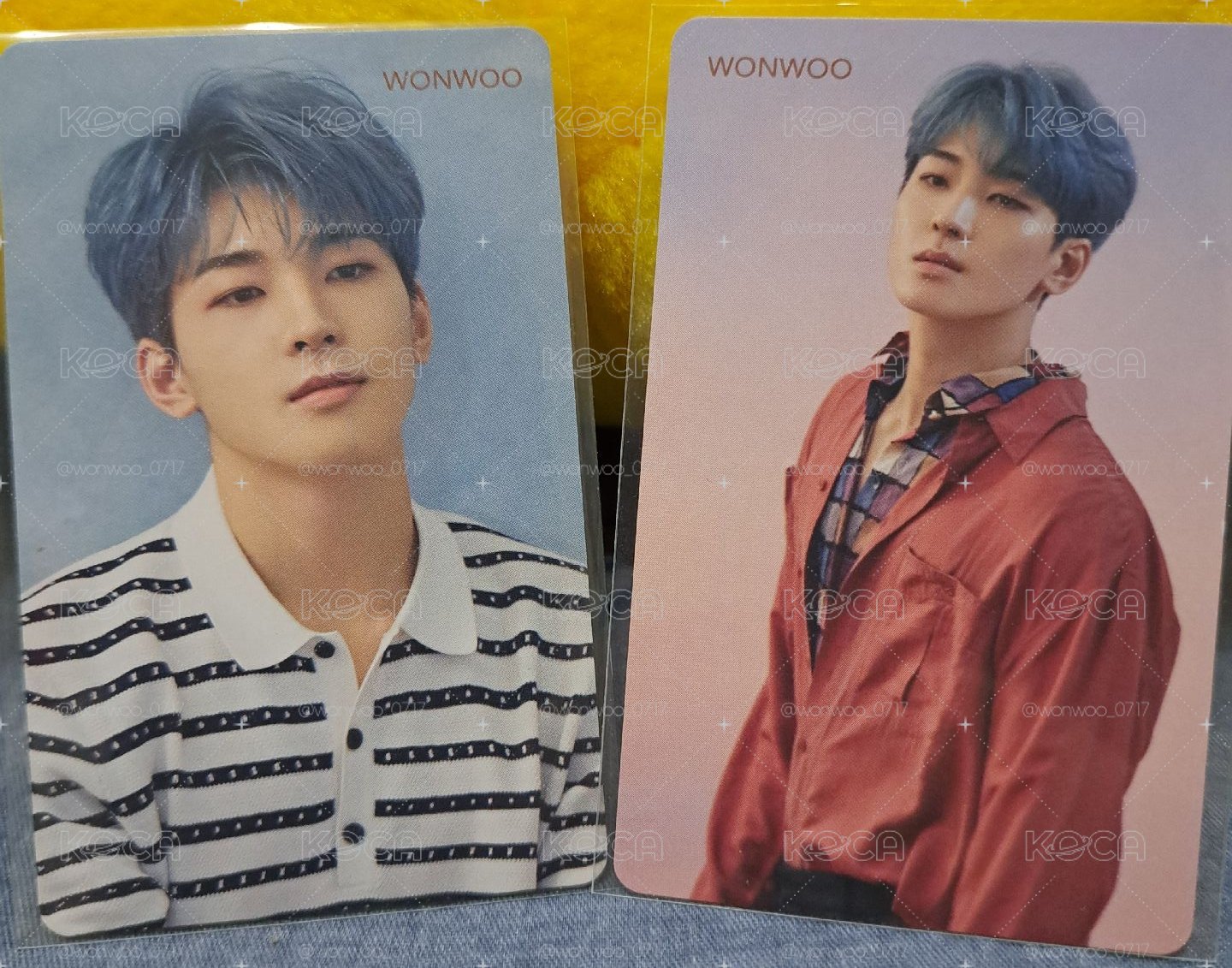 SEVENTEEN 落花HMV感謝祭特典 圓佑