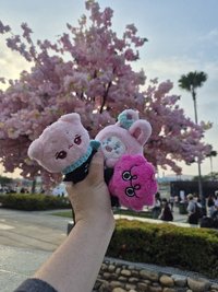 小星shinstar
