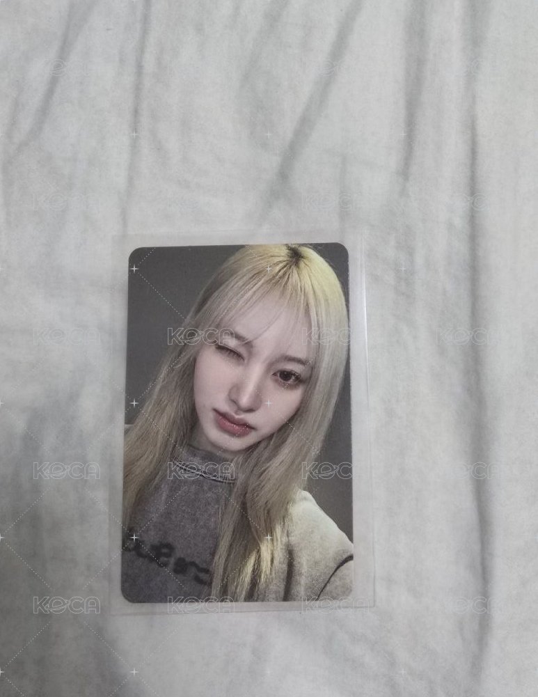 大損馬簽Liz