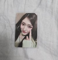 大損sw台特李瑞