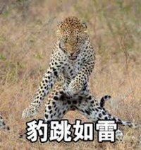 亘