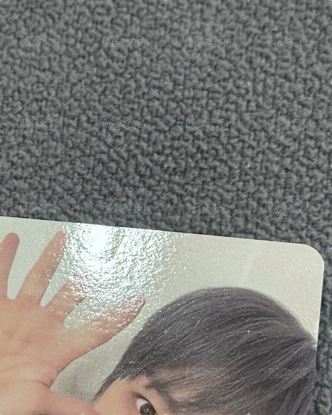 藍灰髮狗掌🐶
