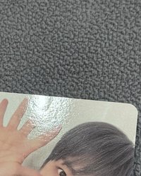 藍灰髮狗掌🐶