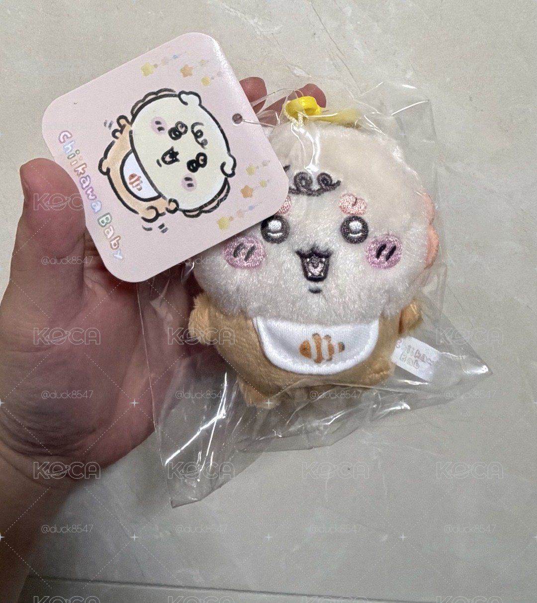 寶寶獅薩