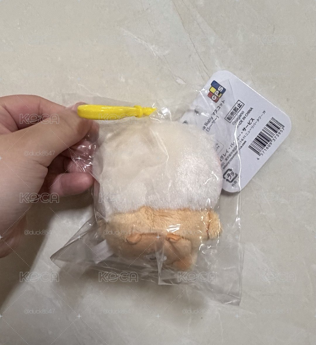 寶寶獅薩