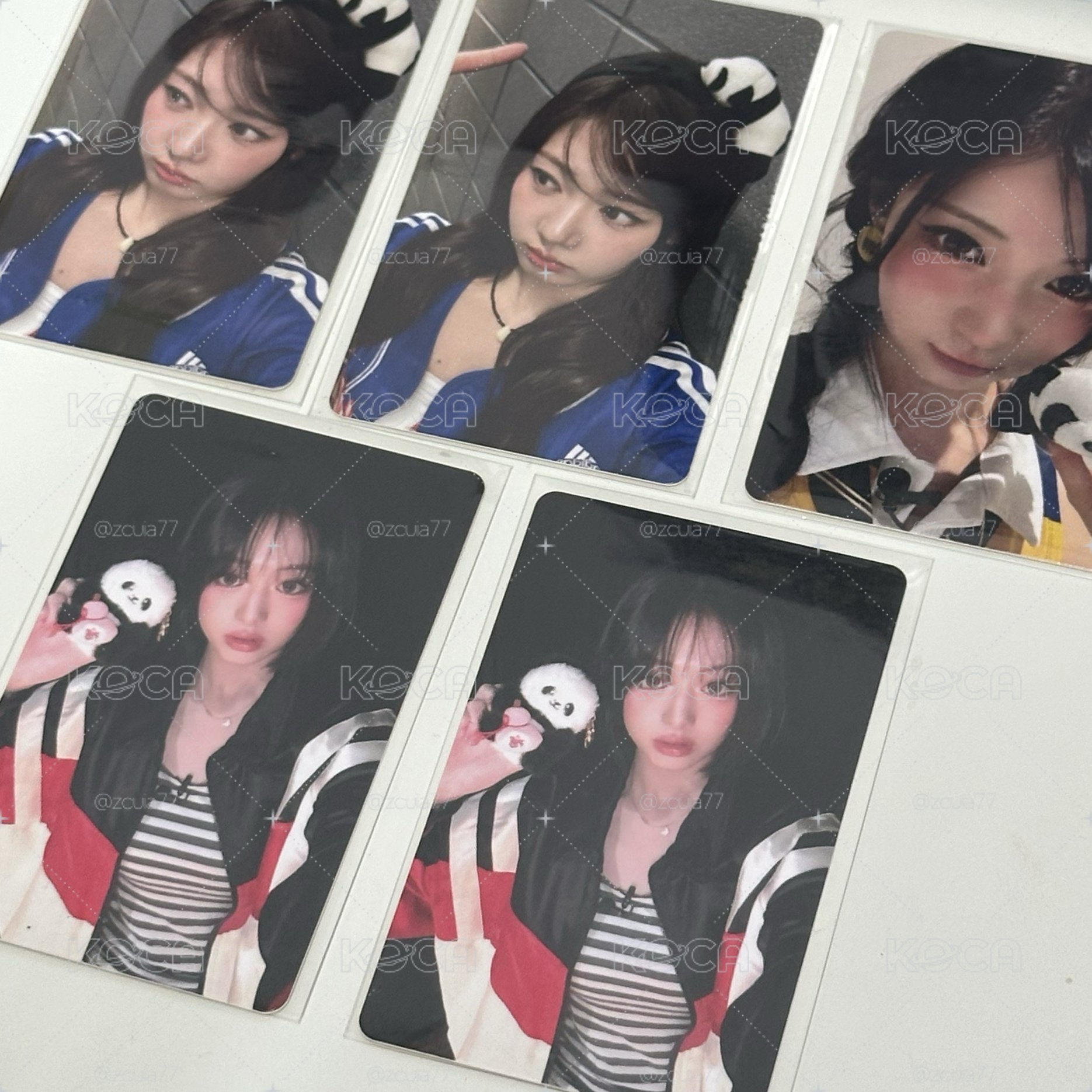 上海快閃滿額🦋🐼🐰