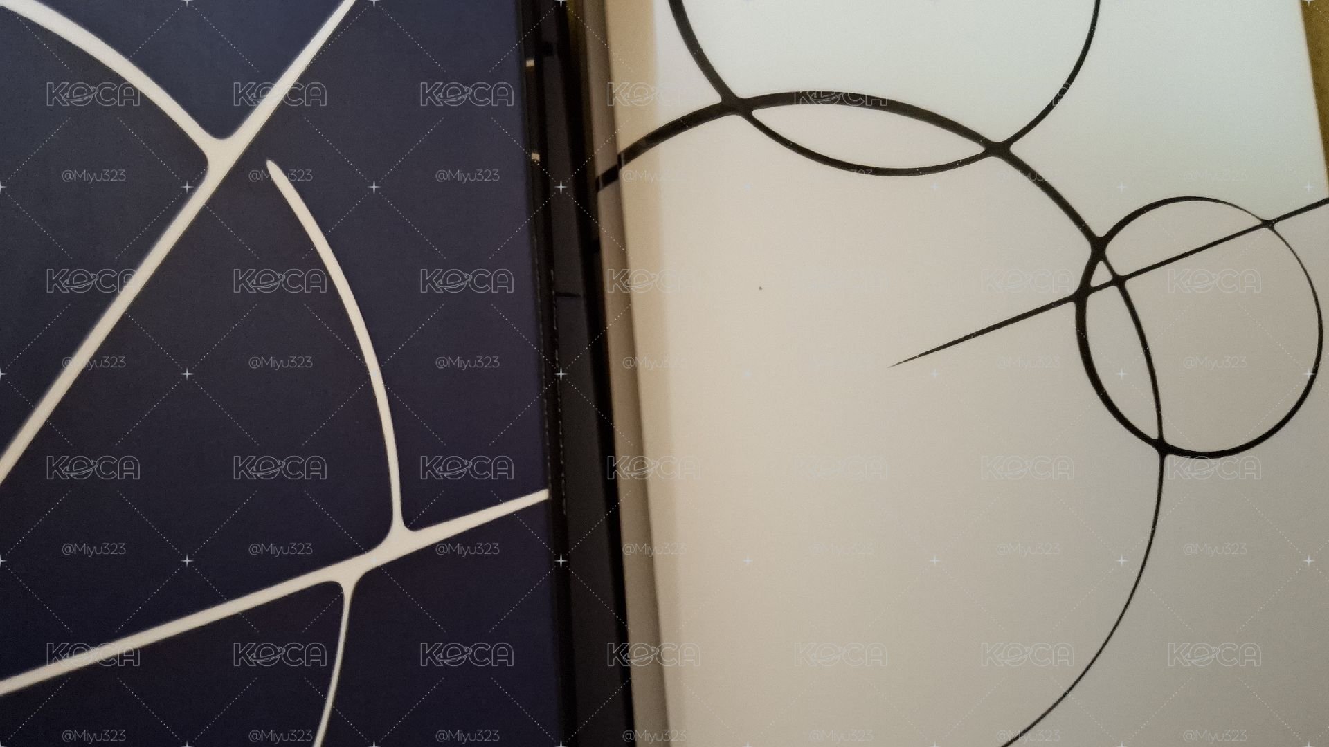 賭徒打下的江山🤓（空專們）