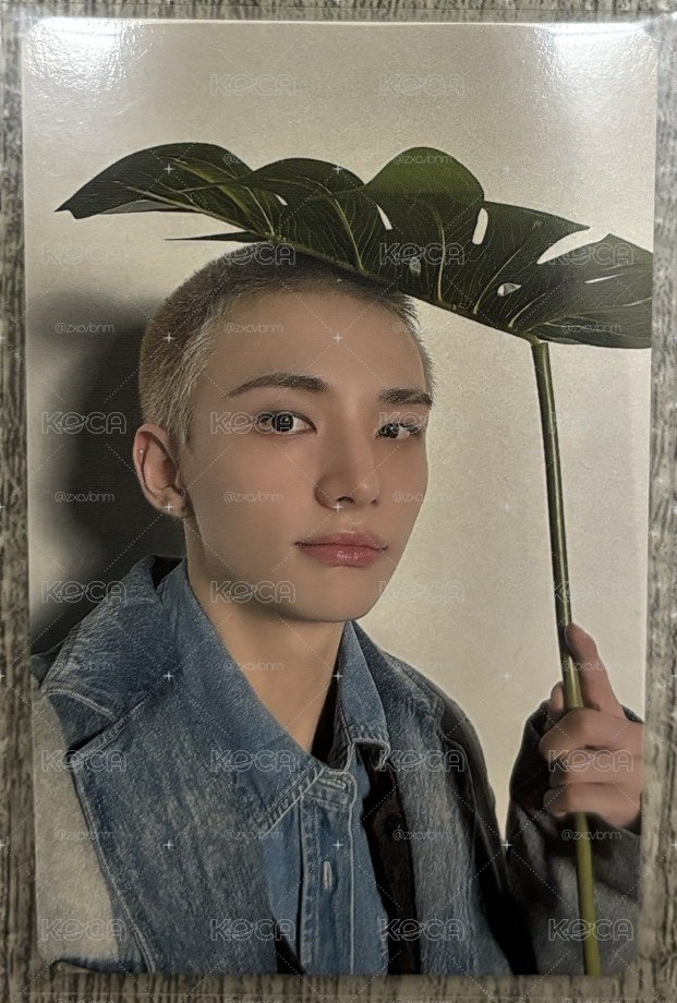 下雨時出現的是龍貓鉉辰