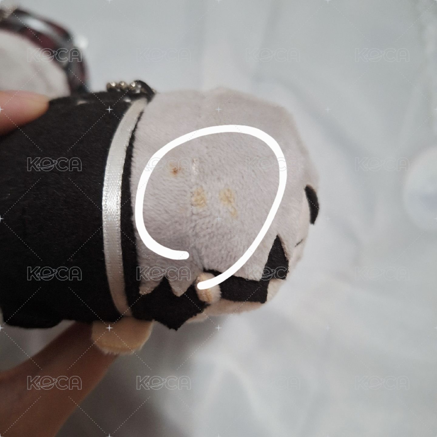 普趴（右）