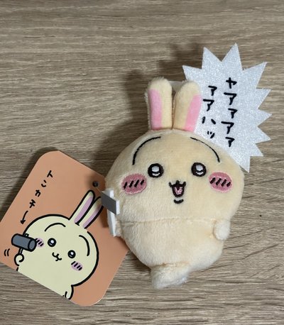 Search image