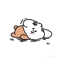 熊熊🧸💭💭