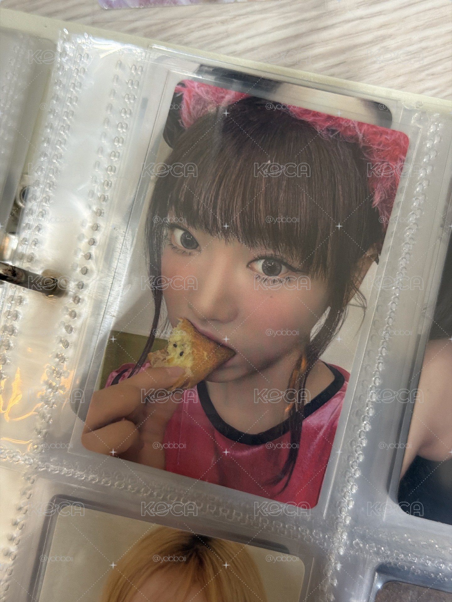 小貓吃麵包！