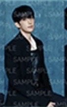 SERENADE 周邊卡 A set