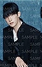 SERENADE 周邊卡 A set