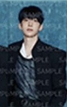 SERENADE 周邊卡 A set