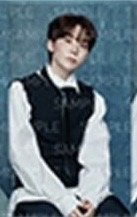 SERENADE 周邊卡 A set